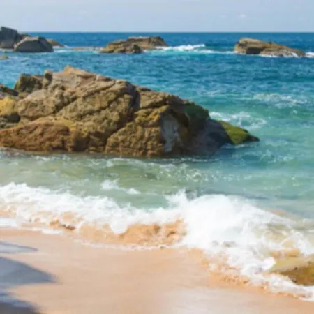 Le Petit Cote Ouest - Appt Dans Les Pins Pres De La * Les Sables-d'Olonne