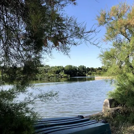 Le Petit Cote Ouest - Appt Dans Les Pins Pres De La