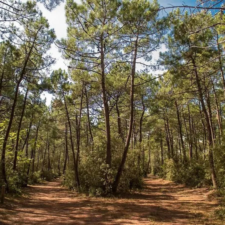 Le Petit Cote Ouest - Appt Dans Les Pins Pres De La *