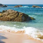 Le Petit Cote Ouest - Appt Dans Les Pins Pres De La * Les Sables-dʼOlonne