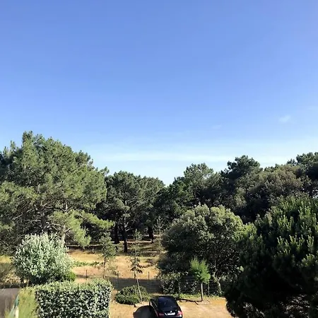 Le Petit Cote Ouest - Appt Dans Les Pins Pres De La * Les Sables-dʼOlonne