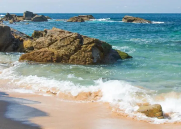 Le Petit Cote Ouest - Appt Dans Les Pins Pres De La * Les Sables-dʼOlonne