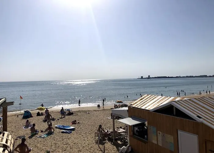 Le Petit Cote Ouest - Appt Dans Les Pins Pres De La