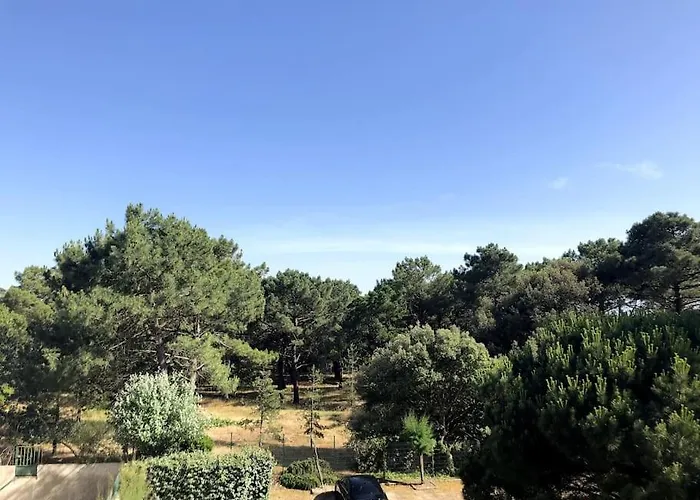 Le Petit Cote Ouest - Appt Dans Les Pins Pres De La * Les Sables-dʼOlonne