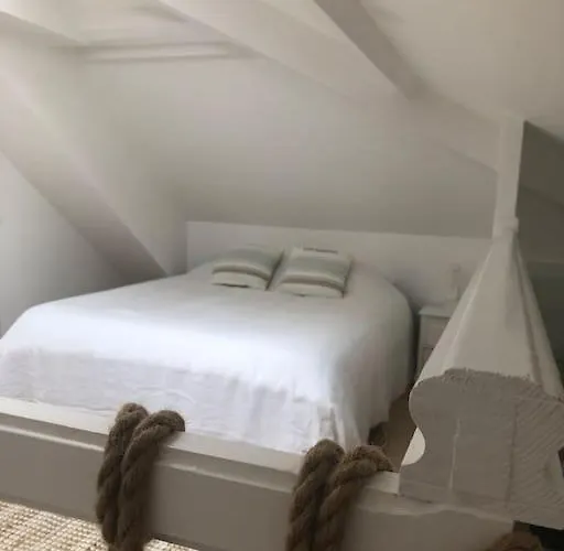 Le Petit Cote Ouest - Appt Dans Les Pins Pres De La Les Sables-dʼOlonne