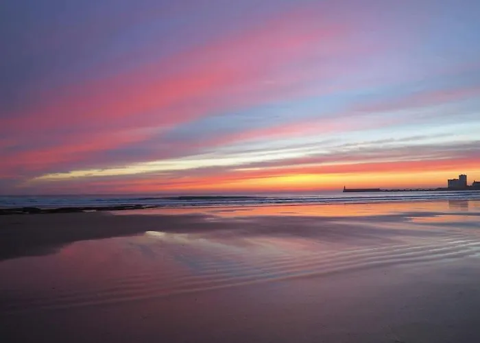 Le Petit Cote Ouest - Appt Dans Les Pins Pres De La * Les Sables-dʼOlonne