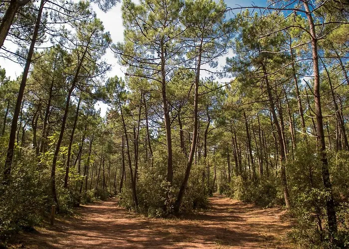 Le Petit Cote Ouest - Appt Dans Les Pins Pres De La *